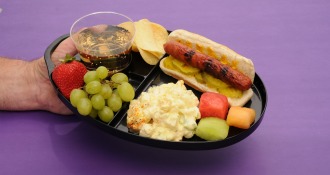 Palettes - the perfect plastic party plates for barbecues, picnics, tailgates and more.